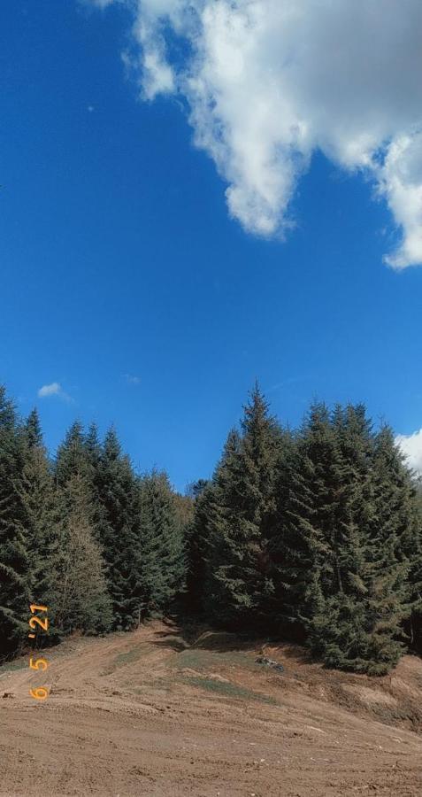 Садиба У Пані Марії Vorochta Exteriér fotografie